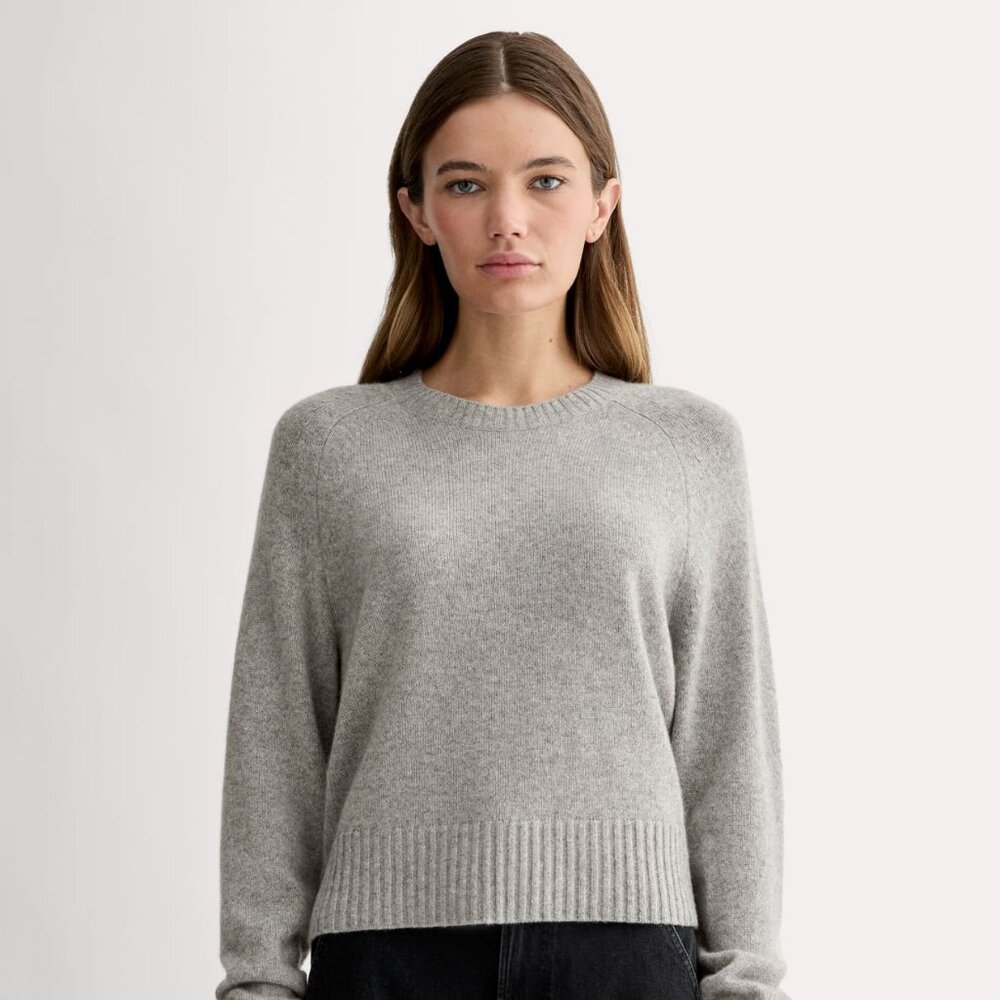 Everlane The Boxy Crew in Cashmere - XS - NWT